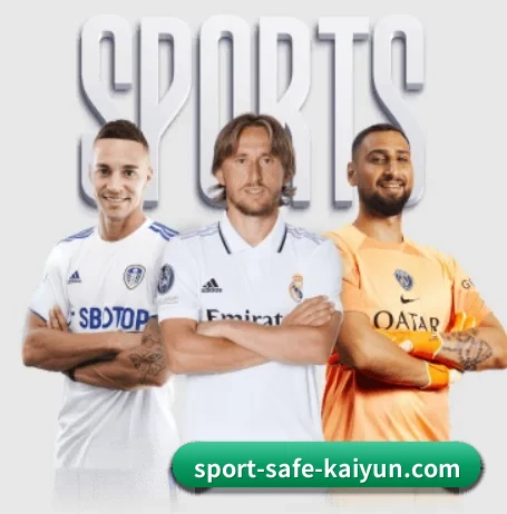 我们在做什么 - kaiyun sports